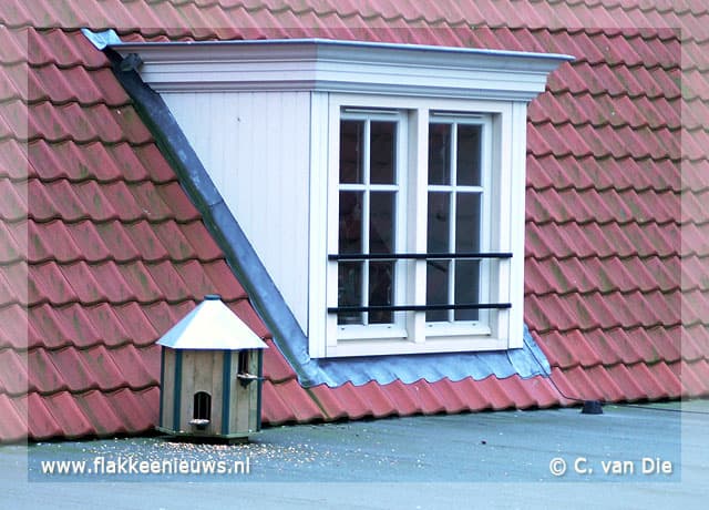 Duivenoverlast bij voormalige RHBS