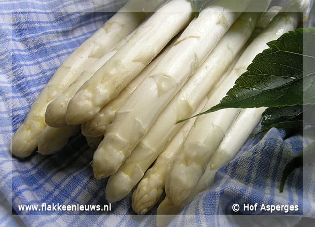 Asperges-Fietsdag in Ouddorp