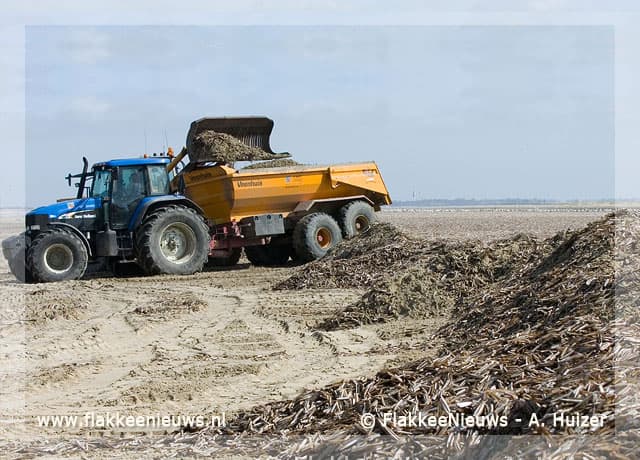 Opnieuw messchelpen aangespoeld op het strand