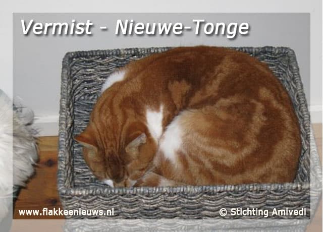 Gevonden en vermiste dieren week 11- 2009