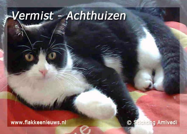 Gevonden en vermiste dieren week 11- 2009