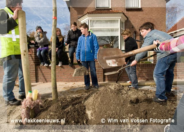 Scholieren en schoolkinderen planten bomen