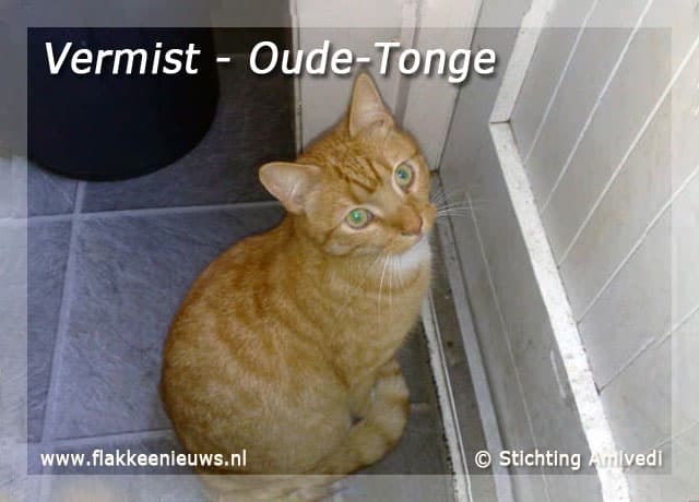 Gevonden en vermiste dieren week 13- 2009