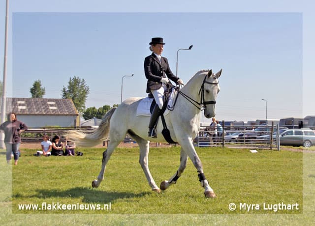 Manege Oostmoer biedt helpende hand
