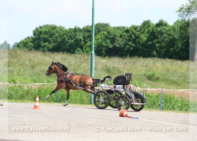 Paard met wagen op hol geslagen