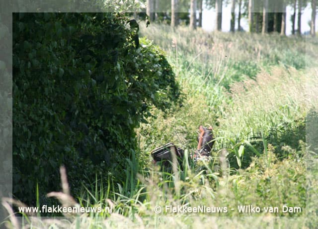 Paard met wagen op hol geslagen