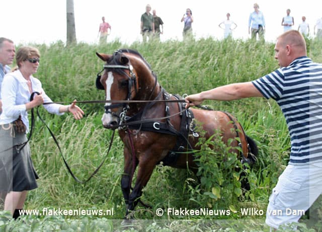 Paard met wagen op hol geslagen