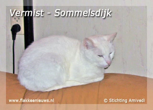 Gevonden en vermiste huisdieren week 24-2009