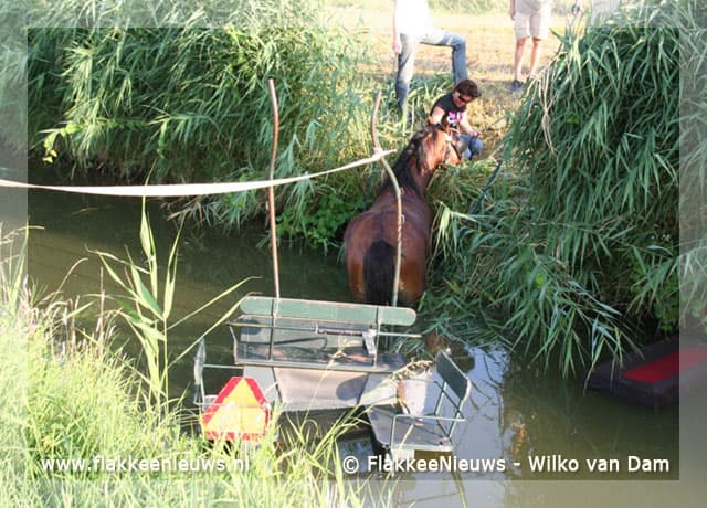 Paard en wagen in de sloot