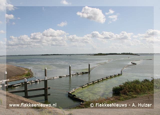 Proef bestrijding fonteingras in wateren Oude-Tonge