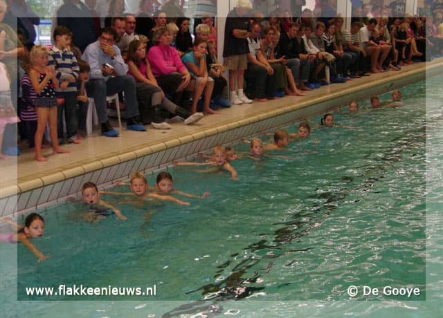 Diplomazwemmen in de Gooye