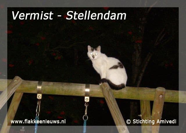 Gevonden en vermiste huisdieren week 52-2009