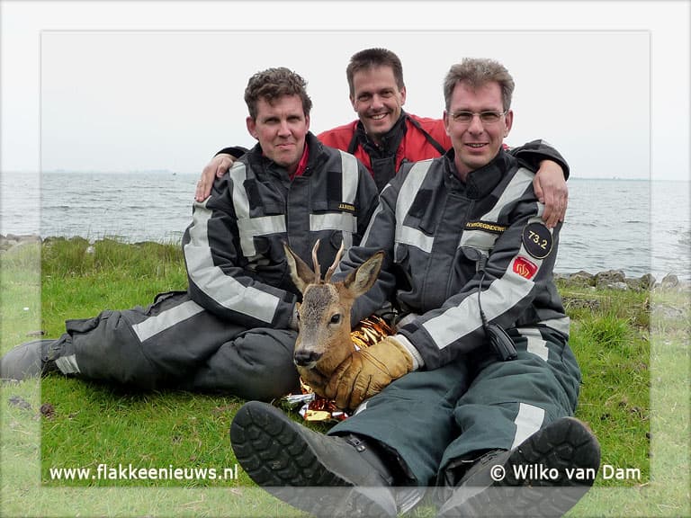 Brandweer helpt hert uit 't Haringvliet