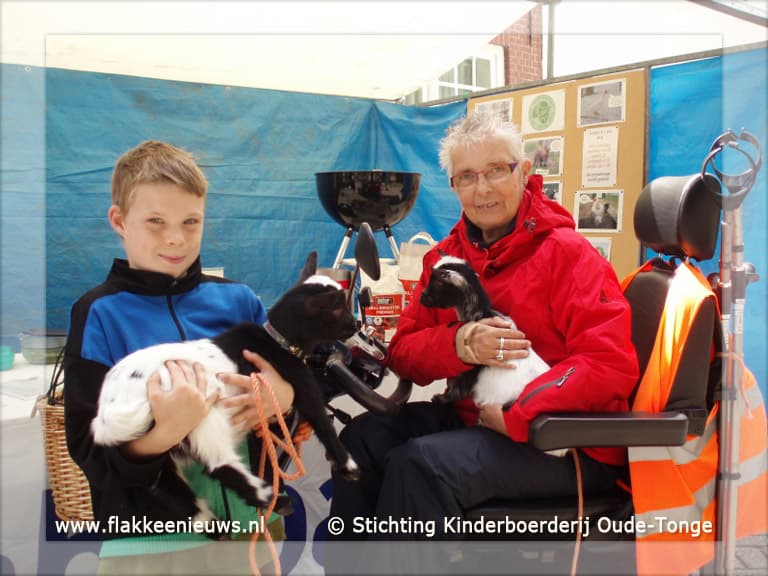 Succesvolle braderie voor kinderboerderij Oude-Tonge