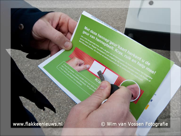 Hennepkwekerij ontmanteld