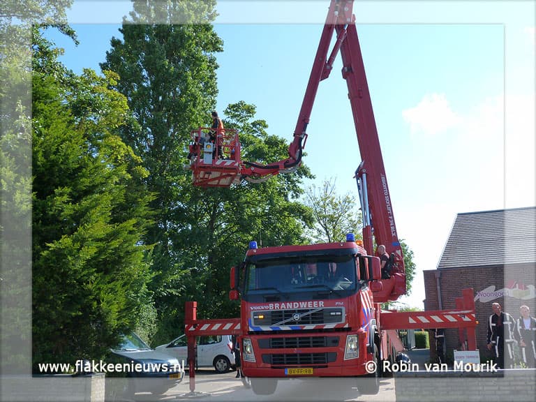 Brandweer redt kat uit de boom
