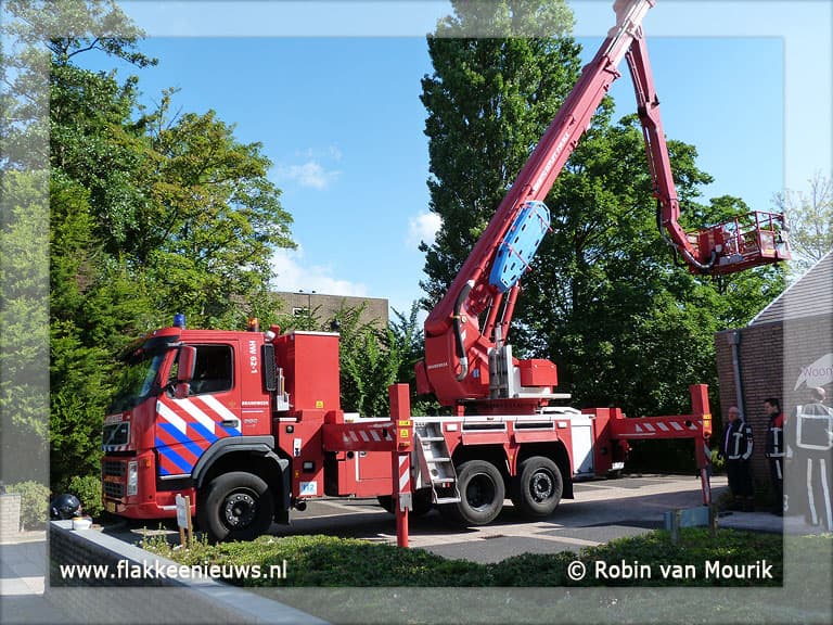 Brandweer redt kat uit de boom