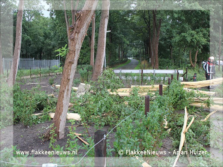 Bliksem treft boom in Middelharnis