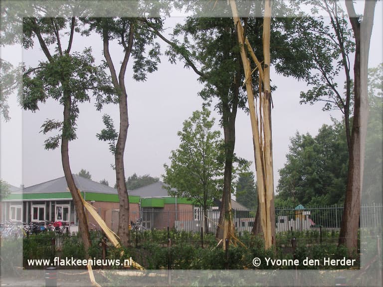 Bliksem treft boom in Middelharnis