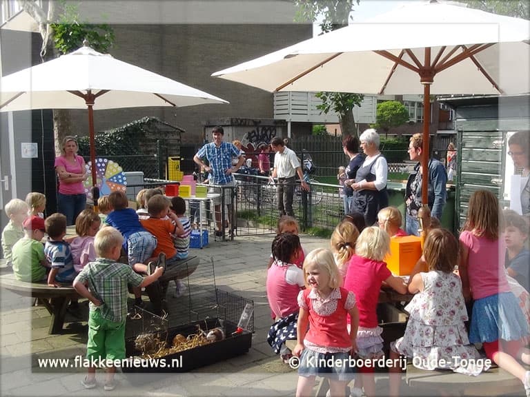 Proef lesprogramma Meneer de Pauw