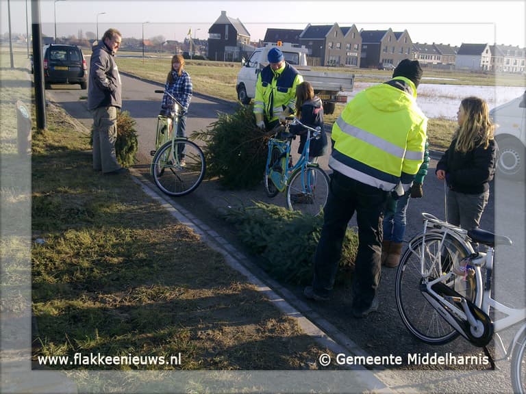 Kerstboominzameling in gemeente Middelharnis groot succes