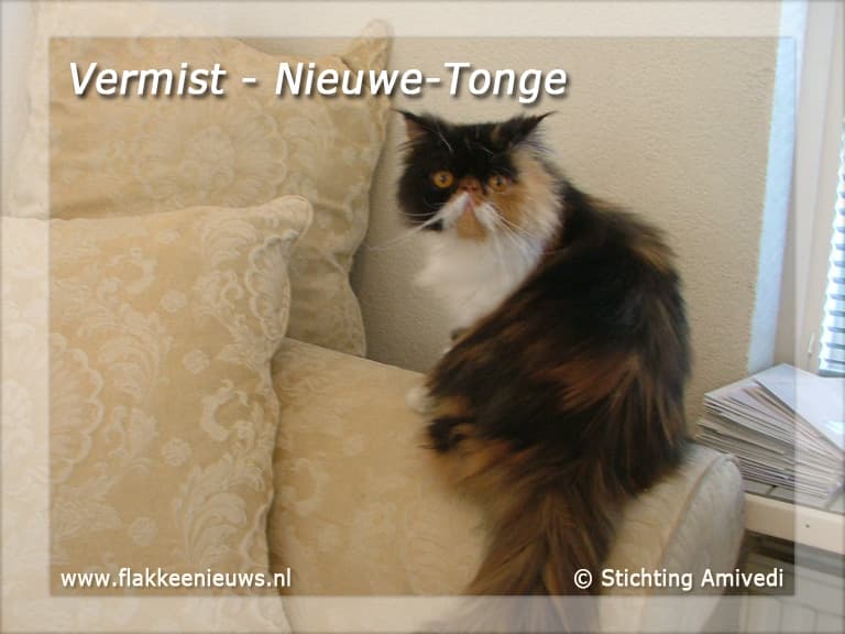 Gevonden en vermiste dieren week 10-2011