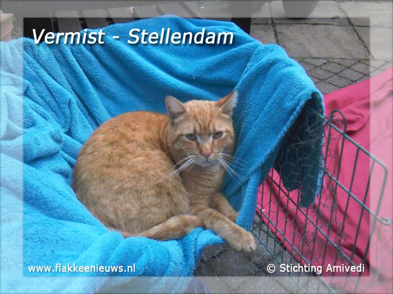 Gevonden en vermiste huisdieren week 19-2011
