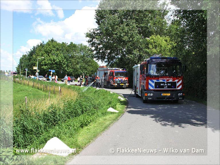 Brandweer redt paard uit de sloot