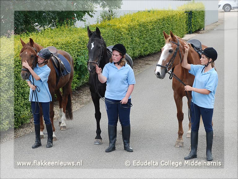 Leerlingen Paardenklas Edudelta College in het nieuw