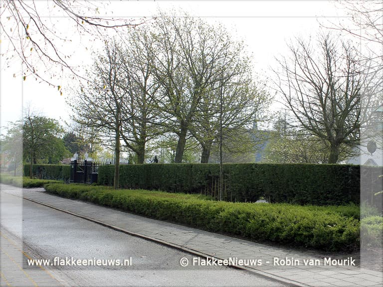 Begraafplaats Middelharnis krijgt nieuwe haag