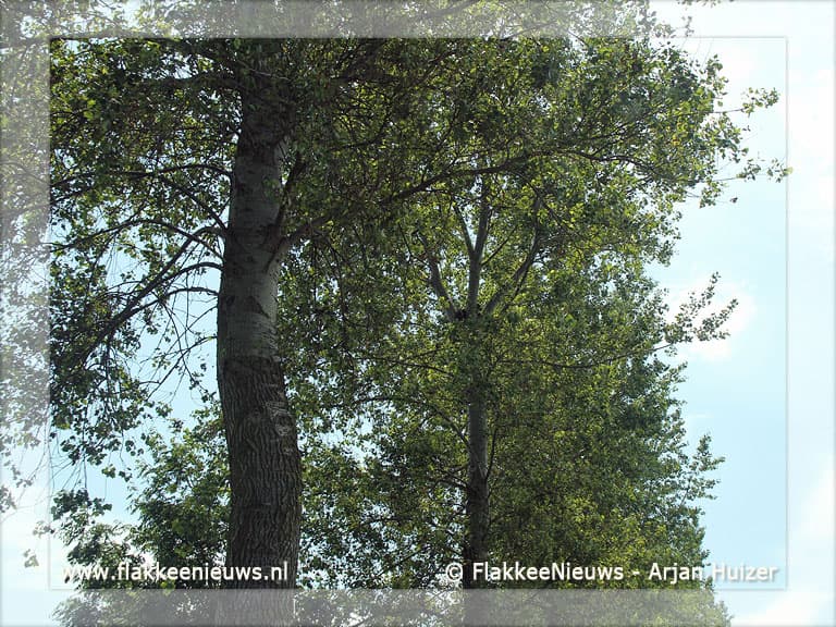 Wandelaars opgelet voor roofvogels