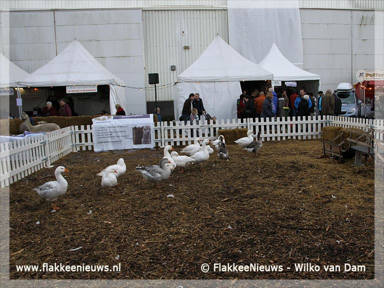 Veel kijkers op Winterfair in Oude-Tonge
