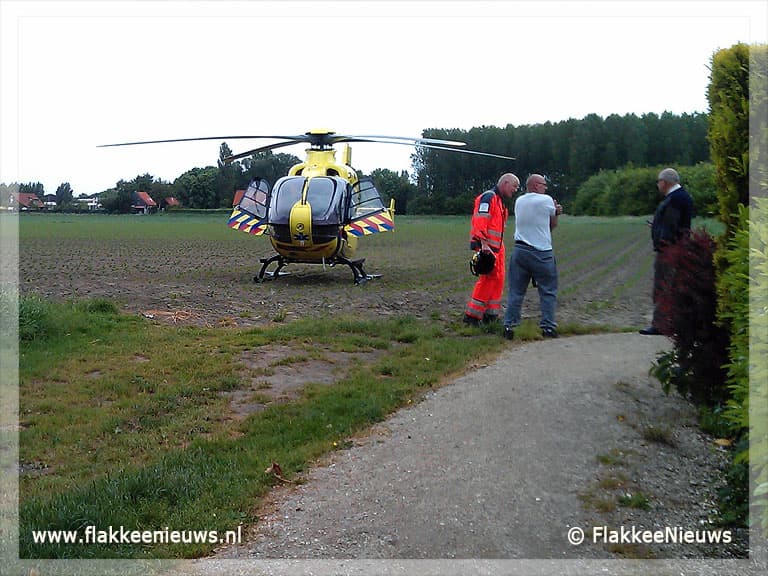 Man valt uit boom in Nieuwe-Tonge