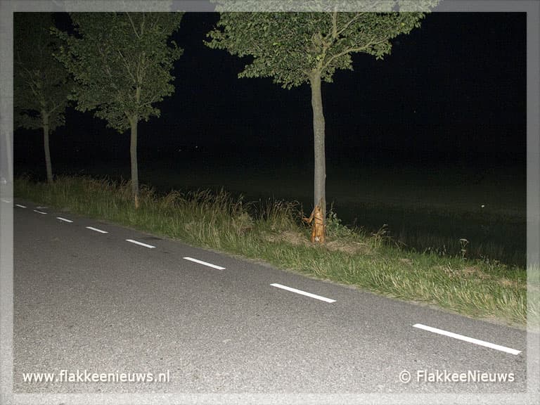Eenzijdig ongeval Westdijk Dirksland
