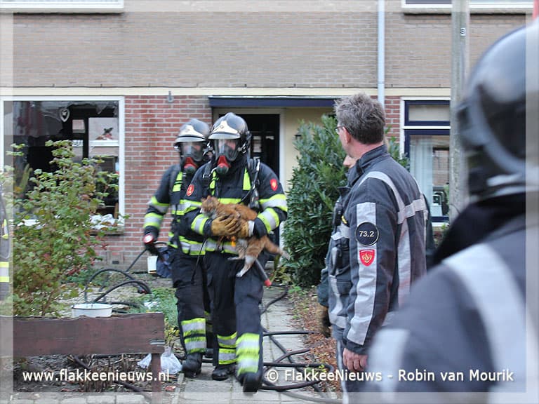 Brandweer haalt kat uit brandende woning