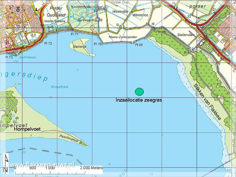 Proef met terugbrengen zeegras Grevelingenmeer