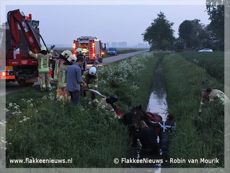Paard met veel mankracht uit de sloot gered