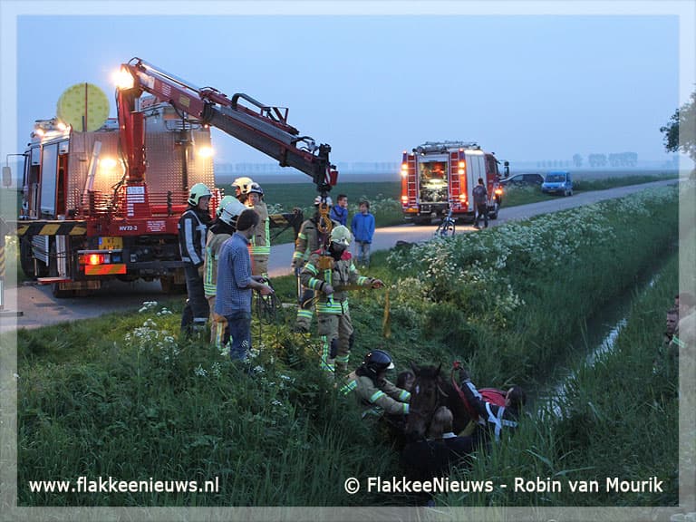 Paard met veel mankracht uit de sloot gered