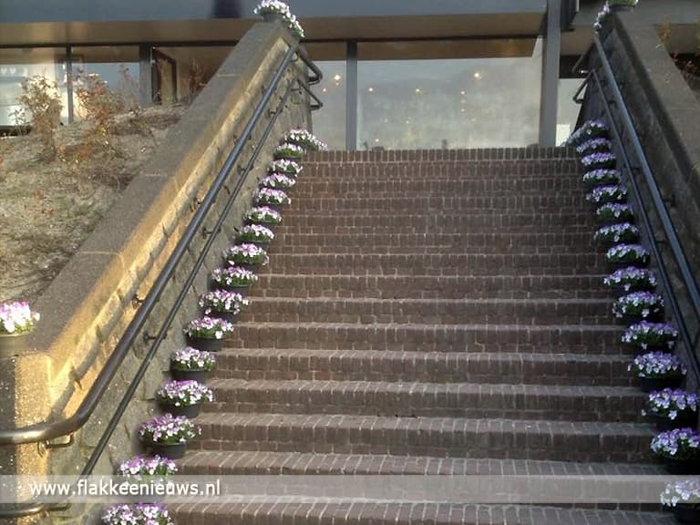 Bloemist moet viooltjes bij winkelcentrum verwijderen