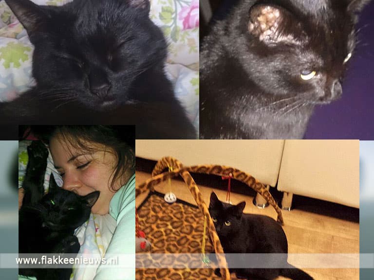 Poes na brand nog steeds kwijt