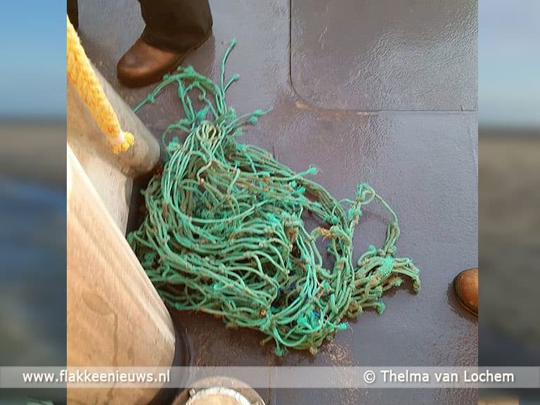 KNRM schiet zeehond te hulp