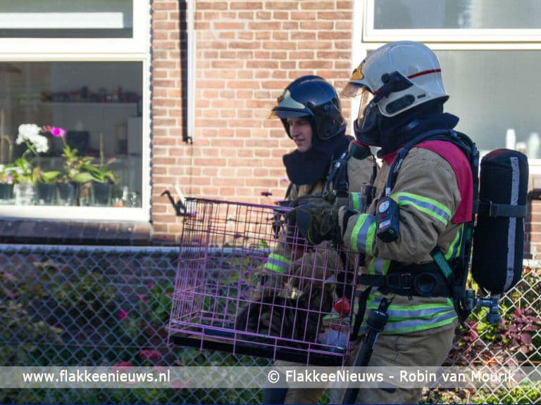 Huisdier overleden bij woningbrand