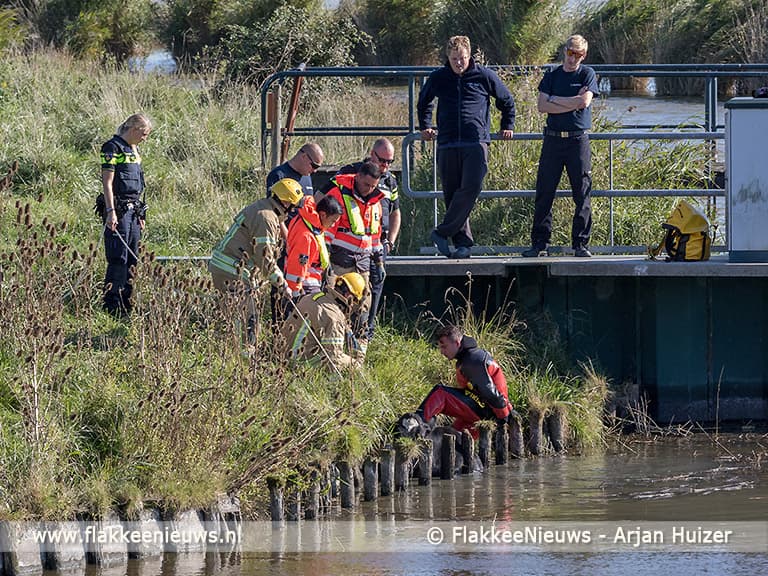Koe te water bij N57 Goedereede