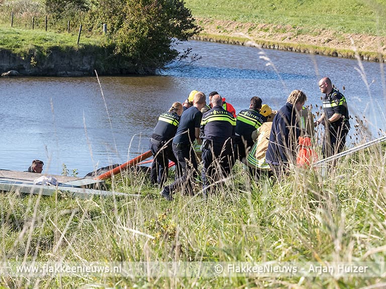 Koe te water bij N57 Goedereede
