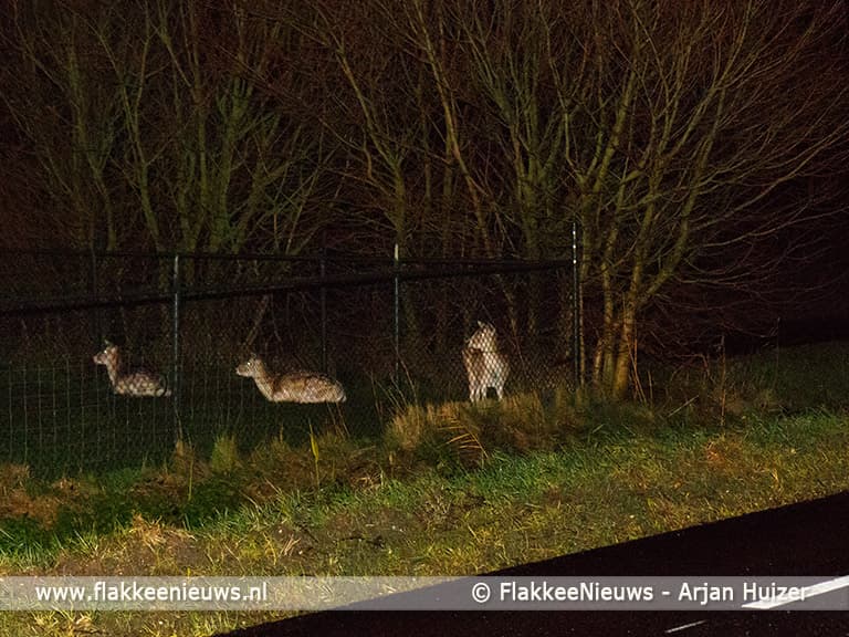 Grote brand bij boerderij in polder Stellendam