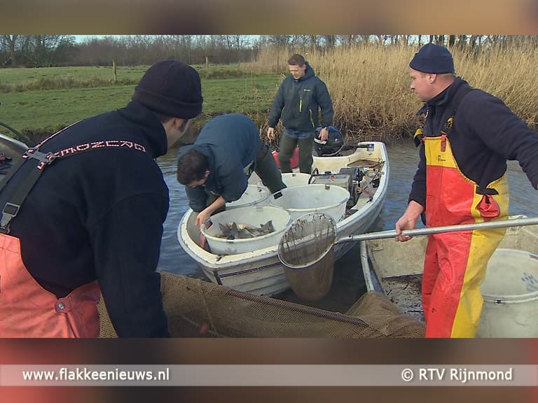 Visserijkundig onderzoek Zuiderdiep