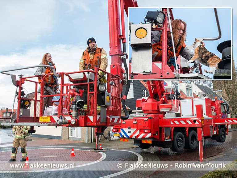 Kat met hoogwerker van dak gered