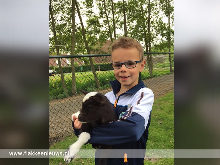 Dierenweide bij Tuunstee Nieuwe-Tonge geopend