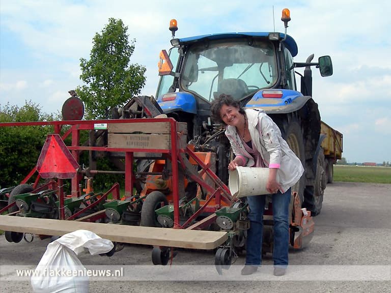 Flakkeese akkerranden weer ingezaaid