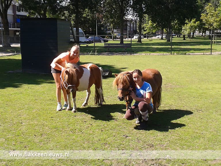 Noodzaak overname Kinderboerderij Oude-Tonge
